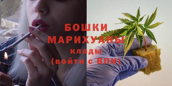спиды Арсеньев