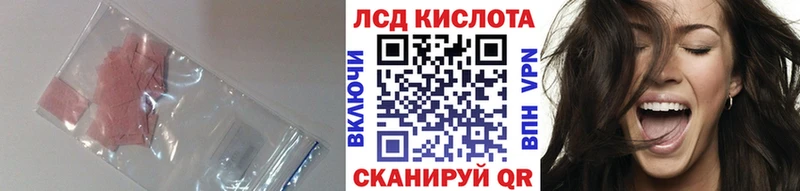 где продают наркотики  Ессентукская  Лсд 25 экстази ecstasy 